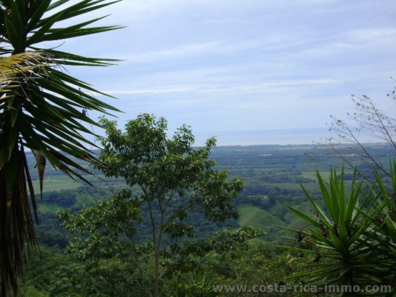 Parcela con 1.000 m2 y una hermosa vista al mar en Parrita