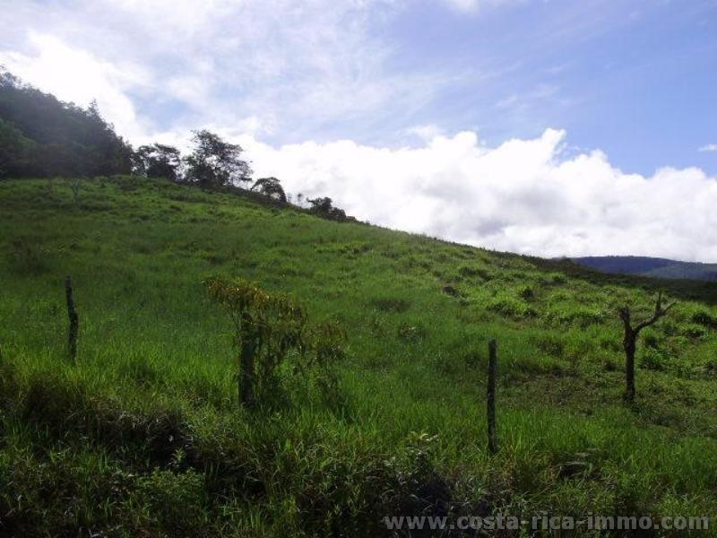 Buenos Aires 69 ha grosse Finca am - S�d Pazifik