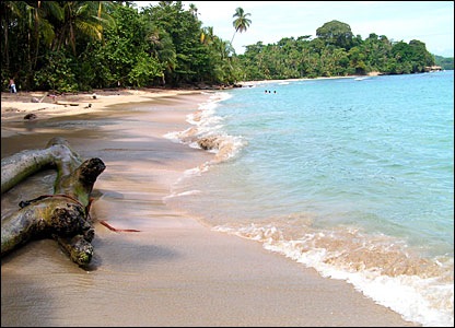 verkaufen  Haus und Bungalows bei Manzanillo  Limon Karibik