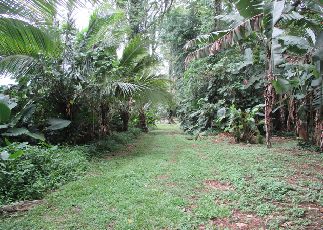 Haus mit 85m2 Wohnfl�che und 450m2 Land. Bungalow mit 80m2 Wohnfl�che und 5400m2 Land.