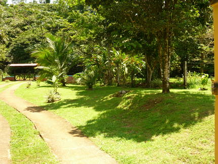 Caribbean Real Estate on Costa Rica   Properties  Farms   Homesteads   Costa Rica Real Estate