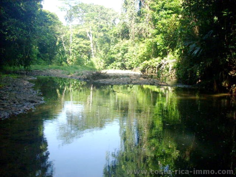 Traumfinca mit 44 ha am Ortsrand von Cahuita, mit Flussanstoss, Urwald, Weiden, etc. 
