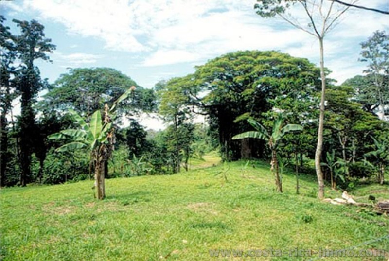 Baugrundst�ck bei Cahuita