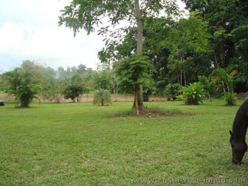 Grundst�ck mit 1.3 ha, ganz eben in Cahuita