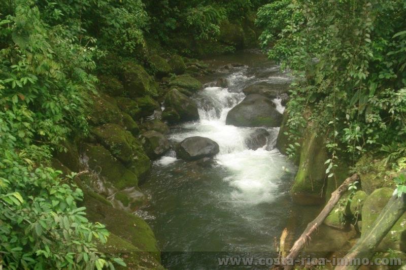 24 ha Finca bei Iberia de Siquirres - Limon