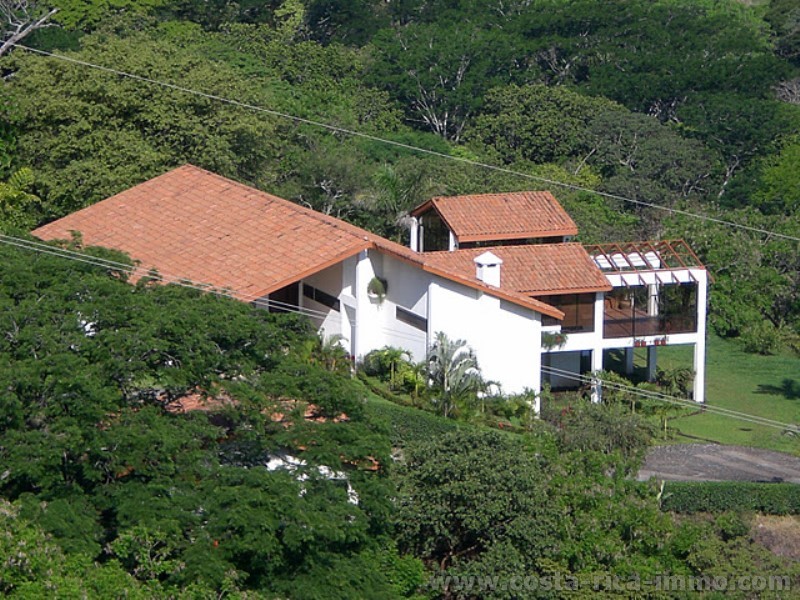 Athens; Stunning villa with huge terrace, pool, guest house and tropical garden