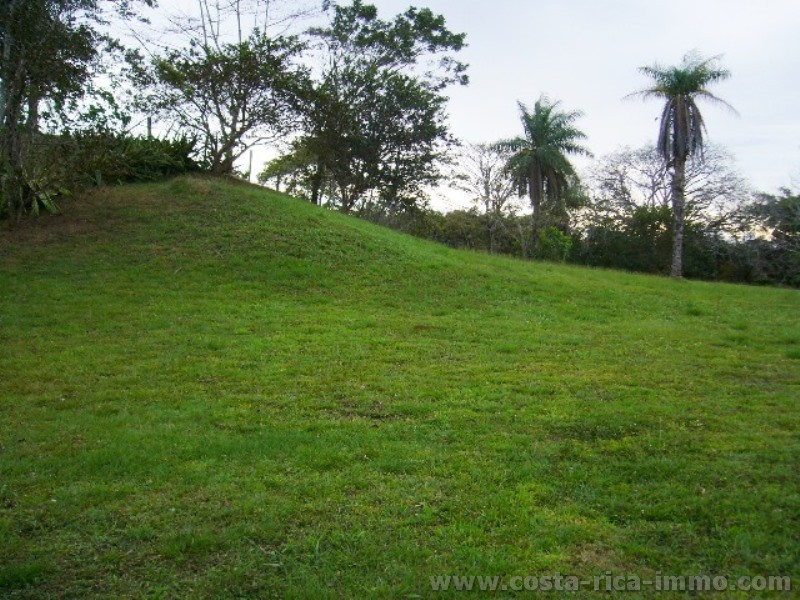 Atenas - Beautiful lot with 4.400 sqm near Atenas 