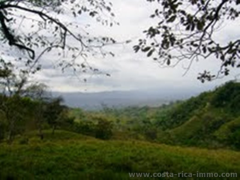 Puriscal - 21 ha gro�e, sehr sch�ne Finca auf 1200 m H�he