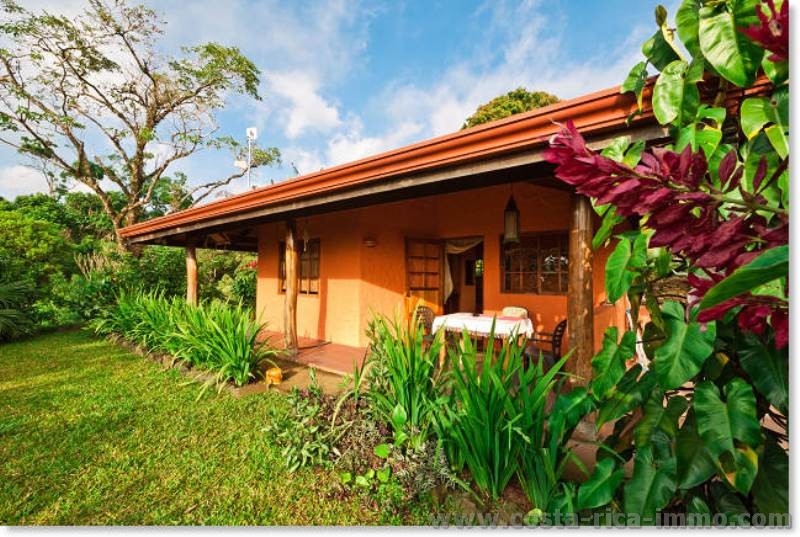 Paradies mit 3.7 ha Land, Haus, Bach, Urwald und Panoramablick �ber die Ebene sowie aufs Meer zu verkaufen