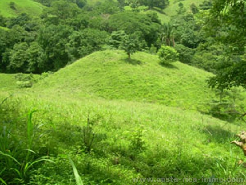 Jicaral - Playa Coyote 33 hect�reas Finca en Guanacaste, Pen�nsula de Nicoya