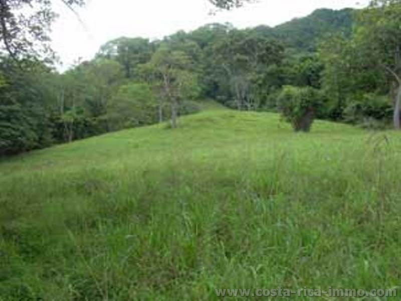 Carmona 47 ha Finca en Guanacaste, en las monta�as de la Pen�nsula de Nicoya.