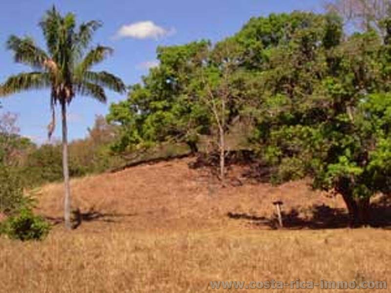 Carmona hermosa finca de 13 acres en las monta�as de la pen�nsula Nicoyal