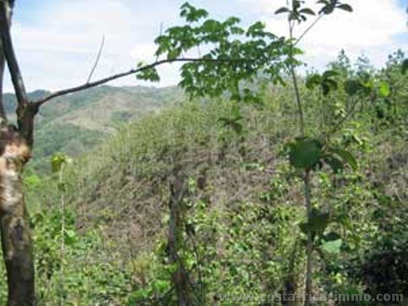 Samara Finca de 14 hect�reas, 7 hect�reas reforestadas con teca en la Pen�nsula de Nicoya
