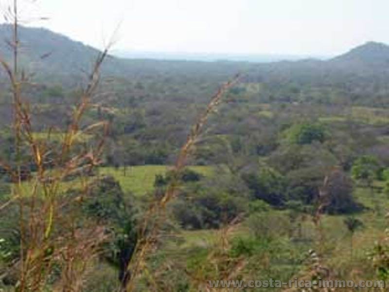 Playa Coyote de 40 hect�reas de campo cerca del Playa Coyote, ideal para un objeto o condominio tur�stico en la Pen�nsula de Nicoya