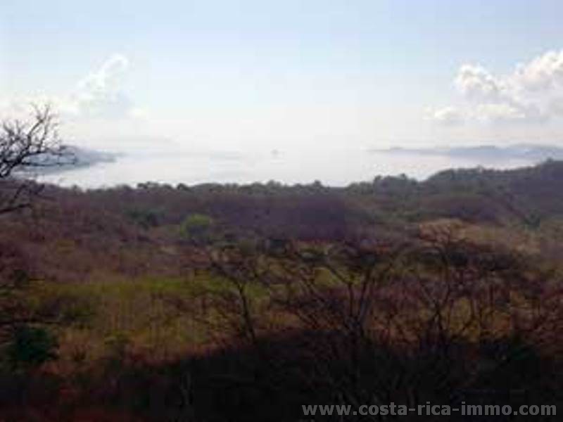 Copal 4,1 ha y diferentes lotes mas con linda vista sobre el Golfo de Nicoya