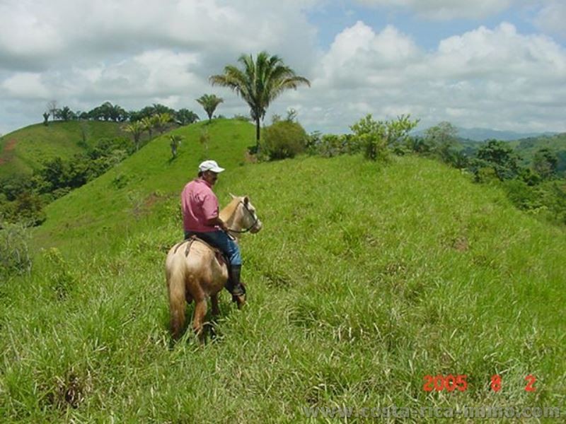 Finca mit 97 ha bei Parrita