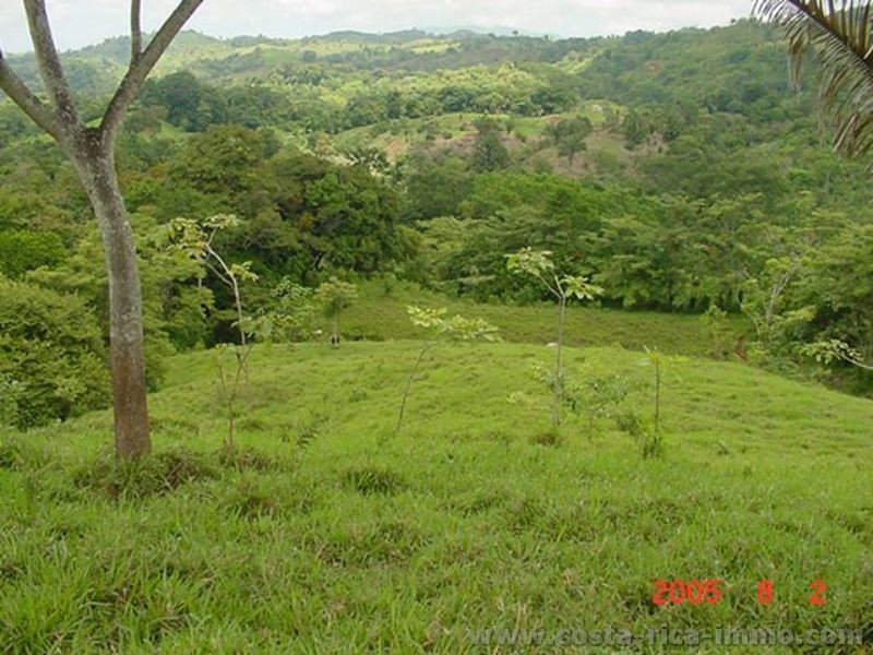 Finca with 97 hectares in Parrita