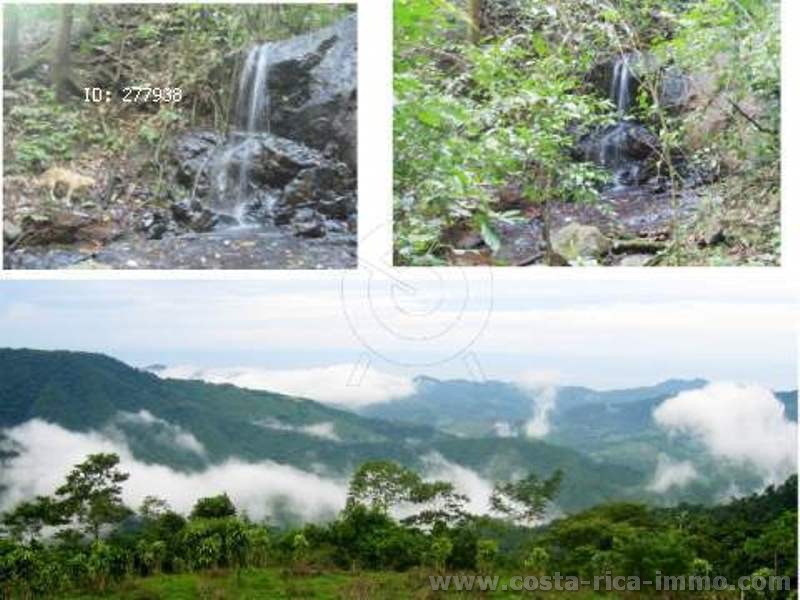 Hojancha,sch�ne 5.1 ha Finca bei Monte Romo de Hojancha