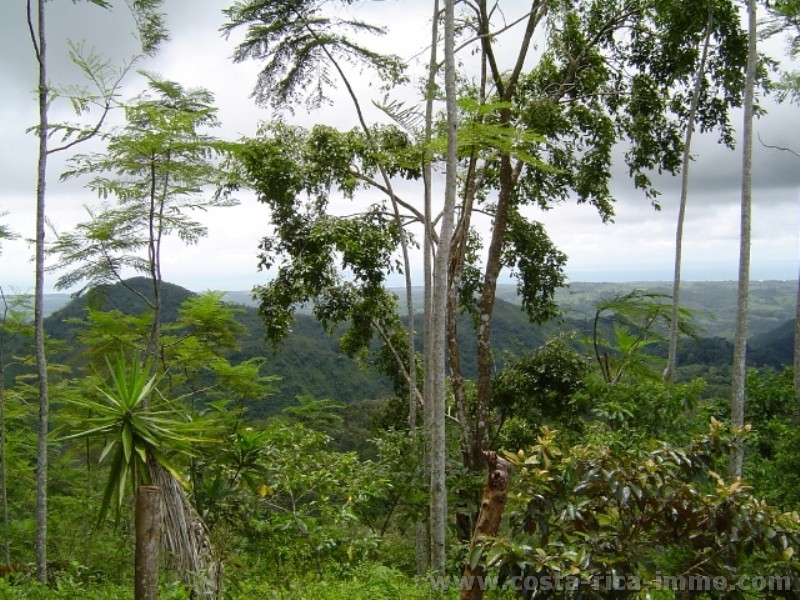 Finca de 71,5 hect�reas (285 acres) con vista del mar y las monta�as en Parrita para vender