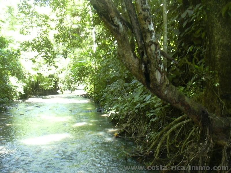 Granja, de 37,5 hect�reas (150 acres) para la venta con la reforestaci�n de teca, el mar-monta�a y vista al r�o en Parrita