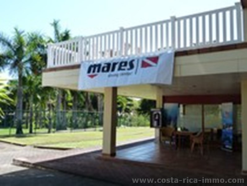 PADI centro de buceo para vender - Tambor