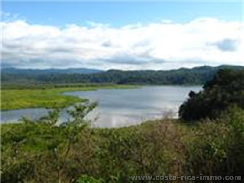 Sierpe, 86 ha Finca mit sch�ner Sicht auf die Laguna Sierpe, Pazifik s�d