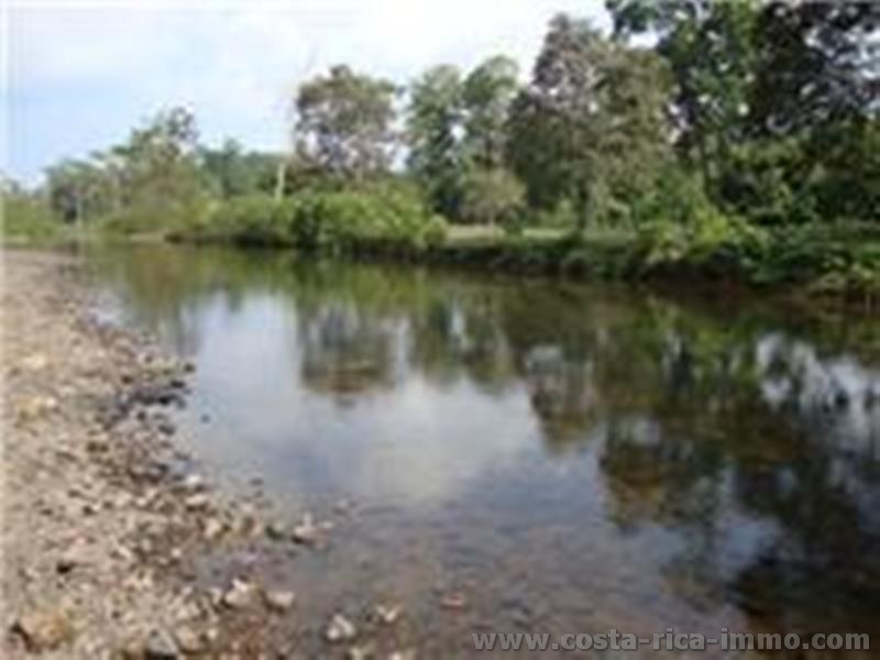 Osa, 62 ha Finca mit viel Weideland, Wald und Wasser - Osa Halbinsel