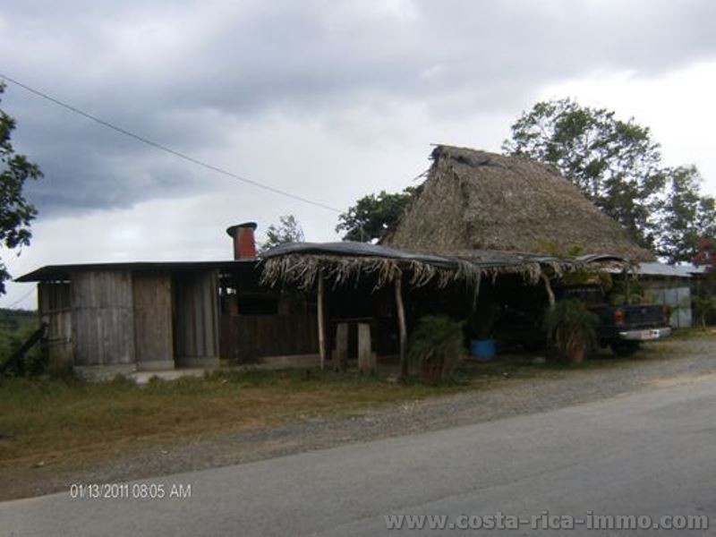 Costa Rica - 60 ha Farm bei Buenos Aires - Potrero Grande