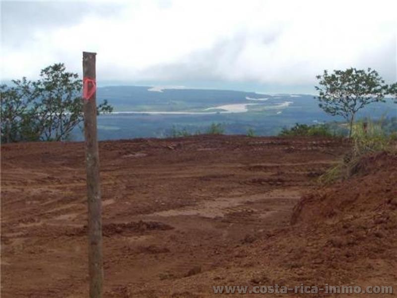Osa; 6 ha Finca unterteilt in 10 sch�ne Baugrundst�cke bei Puerto Cortez 