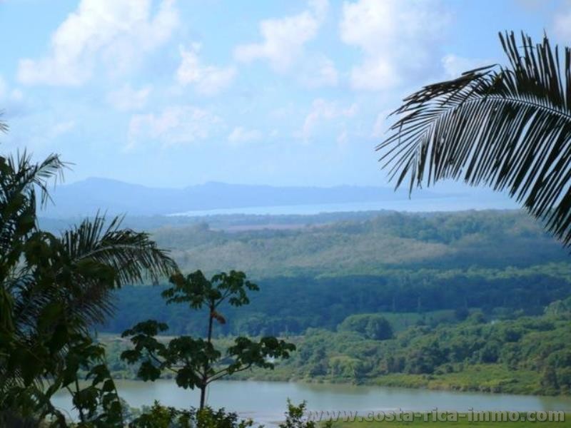 Golfito; 13, 7 ha grosse Finca mit traumblick auf die Berge und das Meer