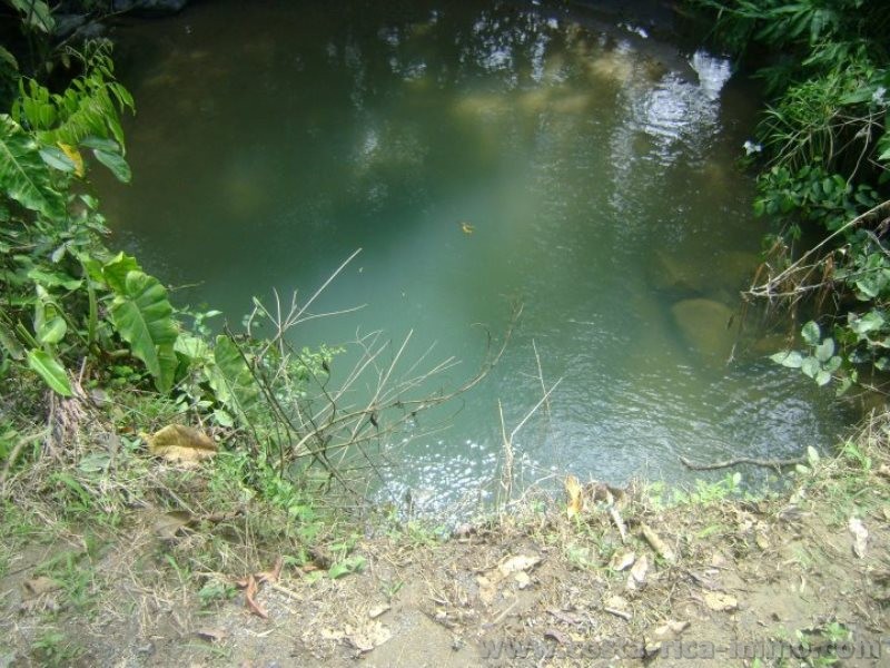 Coto Brus: 62 ha Finca mit viel Weiden, Wald, B�che und Quellen