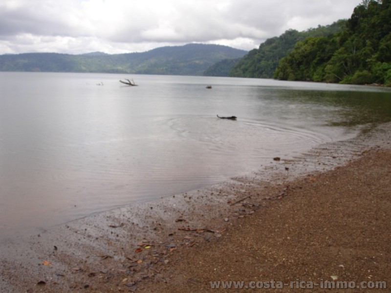 For sale, 188 ha paradise with 700 m beach bordering on the Golfo Dulce
