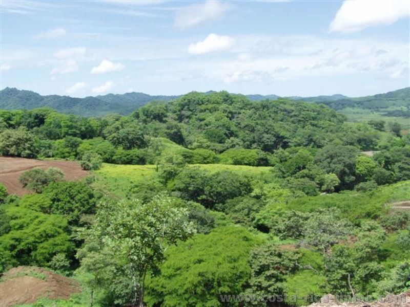 Top building lot, 6.959 m2, fully serviced building lot, surrounded by pure nature