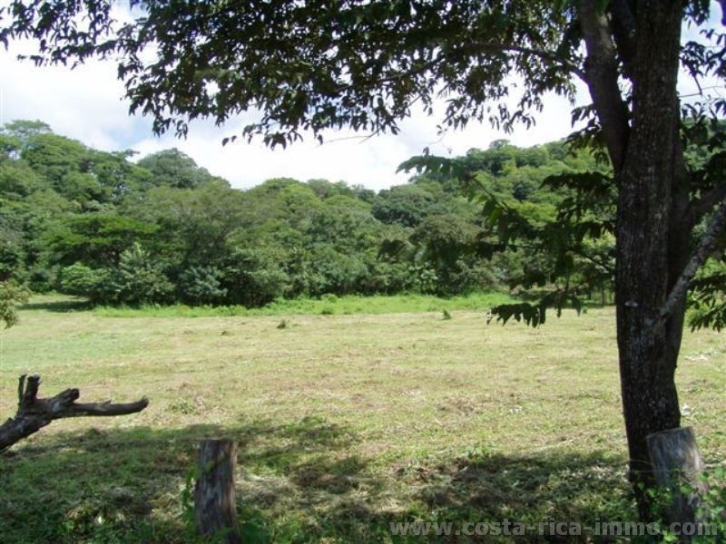 12,000 m2 plot with adjoining at one river, near Tamarindo