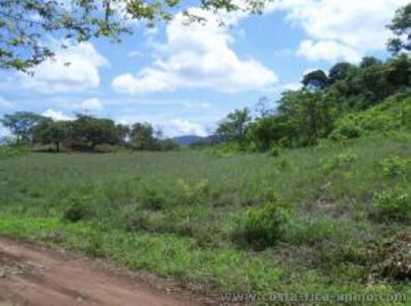 FIRE-SALE Property 2.46 Acres of Land near Tamarindo