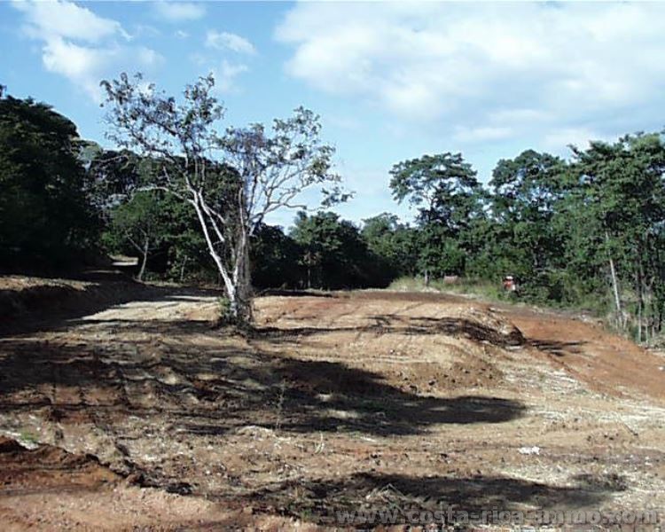 Building Plots in Playa Conchal