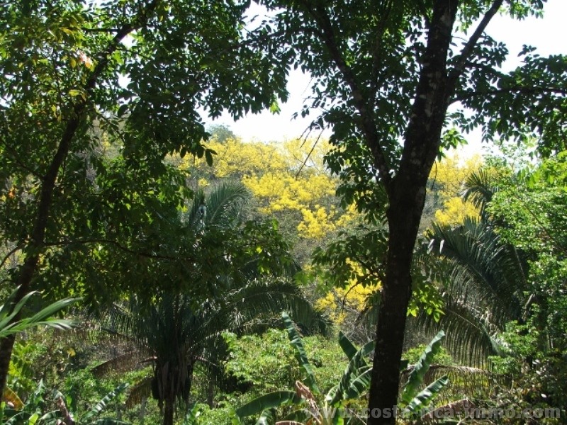 Samara - \"Lote Vista Buena Vista, hilltop\" nice building land