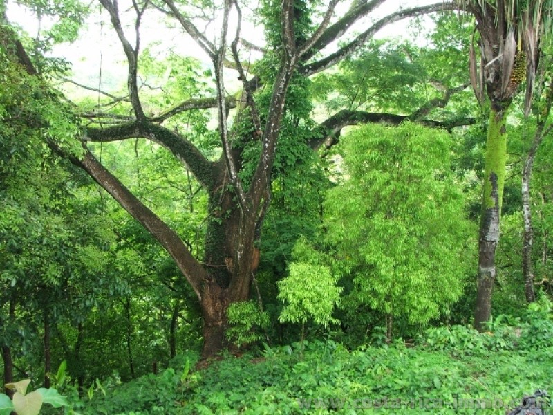 Samara - Lote Vista Sto. Domingo, fully developed plot