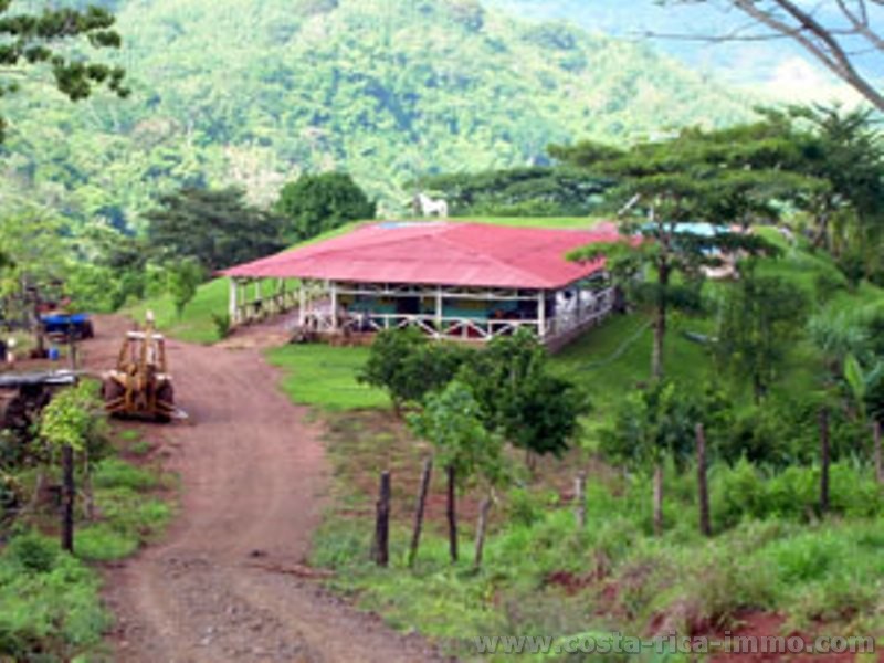 Los Angeles/Carmona; 13 ha Farm mit Haus, Pool, Wald und Weiden
