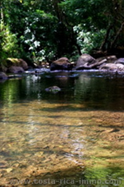 Zu verkaufen - Arenal Rainforest Grundst�ck mit 5,096 m2