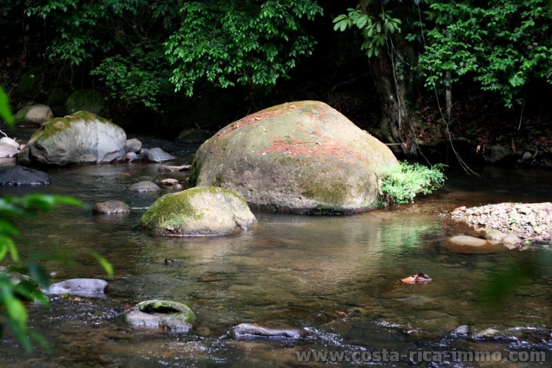 Zu verkaufen - Arenal Rainforest Grundst�ck mit 5,113 m2