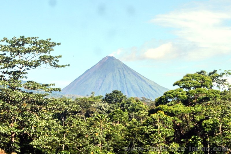 Zu verkaufen - Arenal Rainforest Grundst�ck mit 5,000 m2