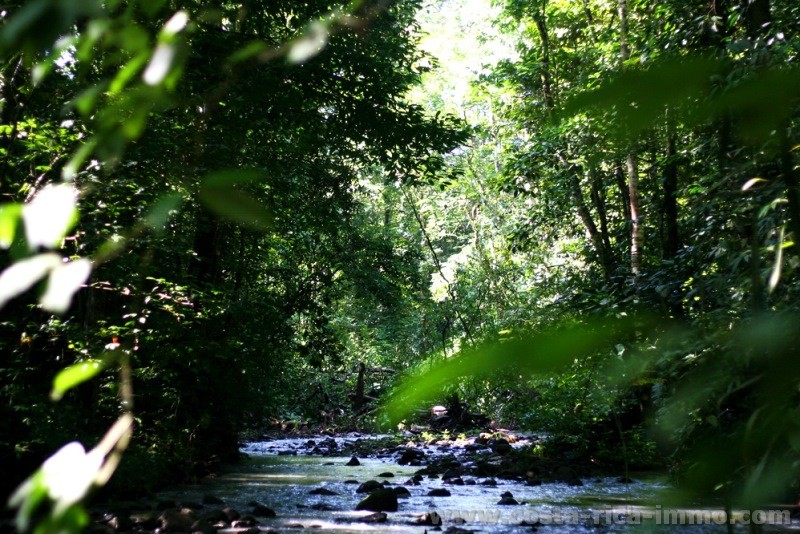 Zu verkaufen  - Arenal Rainforest Grundst�ck mit 5,000 m2