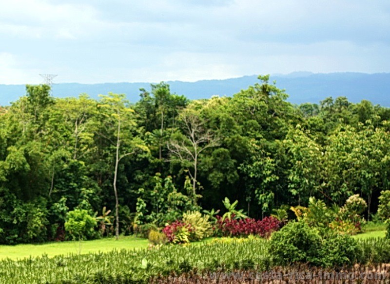 Zu verkaufen - Arenal Rainforest Grundst�ck mit 5,000 m2