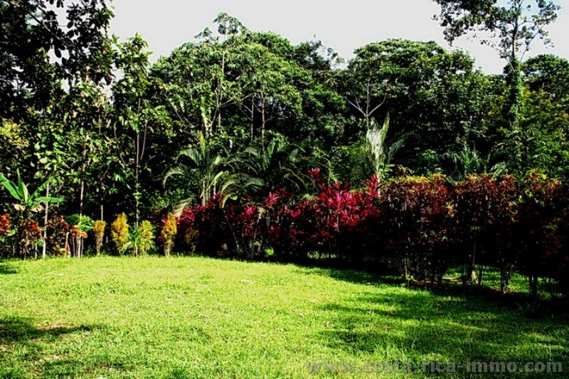 Zu verkaufen - Arenal Rainforest Grundst�ck mit 5,000 m2