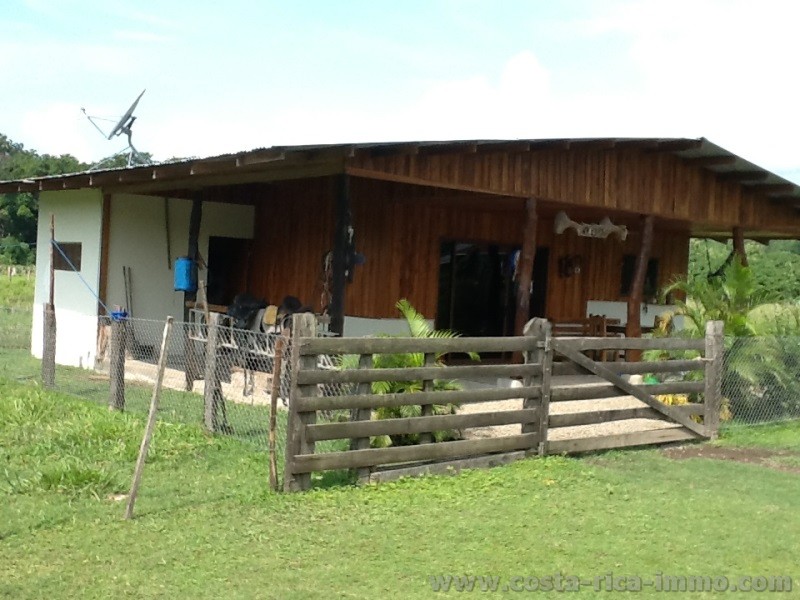 Bauernhof mit 3.8 ha und Stall nahe am Strand bei Playa Pajaros zu verkaufen