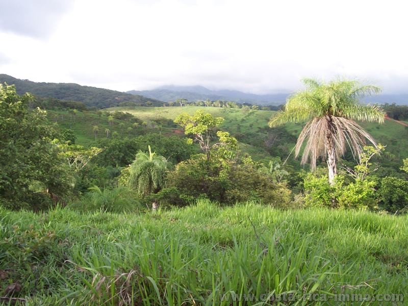 For sale, beautiful ranch of 76 ha in St. Jerome Esparza