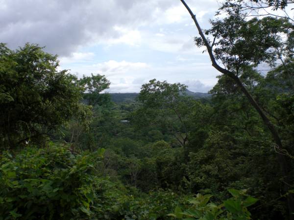 Seller Financing available Great Costa Rica Land for Great Price at