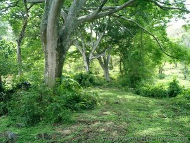 Costa Rica Immobilien - 43,000 m2 grosses Grundst�ck mit viel Natur zu verkaufen