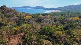 Building plot - Loro with a size of 8.510 m2 with a fantastic view on the dream beach of Playa Organos near Paquera